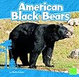 American Black Bears