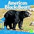 American Black Bears
