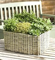 Herb Garden