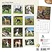Great Danes 2016 Wall Calendar