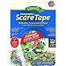 Dalen Holographic Scare Tape