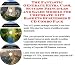 The Fantastic Generate Extra Cash, Success Principles and Sales Models for Corporate Gift Baskets Businesses 3 CD Combo Pack
