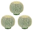 3 pieces of 12" Barrel Artificial Cactus Desert Plants