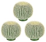 3 pieces of 12" Barrel Artificial Cactus Desert Plants