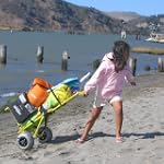 Wheeleez Mini Folding Beach Cart