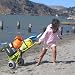 Wheeleez Mini Folding Beach Cart