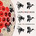 Lemongrass-The 5th Dimension cd cover