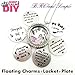 BRCbeads Top Quality Choose 3 Pcs Stainless Steel Floating Charm Plate for 30mm Memory Locket and DIY with Floating Charms