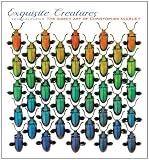 Exquisite Creatures: The Insect Art of Christopher Marley 2012 Calendar (Wall Calendar)