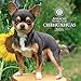 Chihuahuas American Kennel Club 2016 Wall Calendar