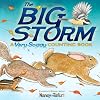 The very big scary storm