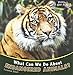 What Can We Do about Endangered Animals? (Protecting Our Planet (Paperback))