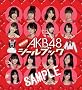 AKB48きせかえシールブック チームB