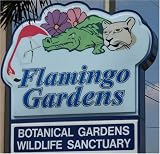 Flamingo Gardens, Assorted Cards