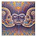Alex Grey 2016 Wall Calendar