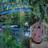 In A Silent Place