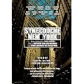 Synecdoche New York