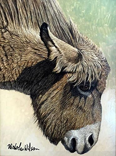 Nicholas Wilson Dusty Image Size- 8"H X 6"W Framed Image-16"H X 14"W