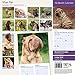 Shar Pei 2015 Wall Calendar