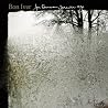 Bild des Albums von Bon Iver