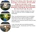 Search : The Ultimate Make An Extra Income, Success Principles and eCommerce for Photo Boxes Web Businesses 3 CD Power Pack
