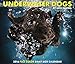 2016 Underwater Dogs Box Calendar