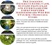 The Rich Man's How To Earn Extra Money, Marketing and Inner Game for Used Computer Motherboard Web Biz 3 CD Course