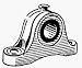 Chicago Die Casting 95007 Pillow Block