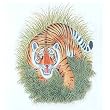Contemporary Art Miniatures India Folk Paintings