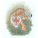 Contemporary Art Miniatures India Folk Paintings