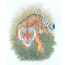 Contemporary Art Miniatures India Folk Paintings