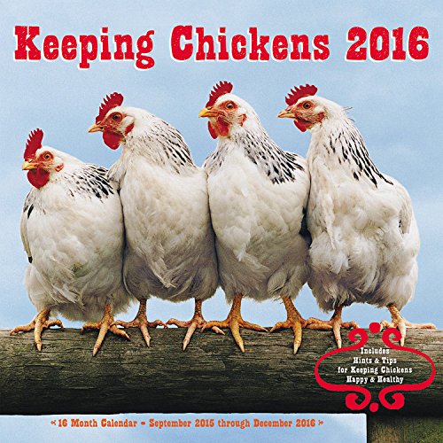 Keeping Chickens 2016 Mini: 16-Month Calendar September 2015 through December 2016