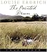 Book The Painted Drum CD