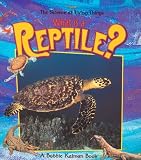 What Is a Reptile? (Science of Living Things)