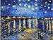DIY Oil Painting, Paint by Number kit- Rhone Under The Starry Night 16 * 20 inch.