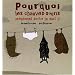 Pourquoi les chauves-souris pr�f�rent sortir la nuit ?