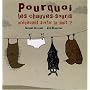 Pourquoi les chauves-souris préfèrent sortir la nuit ?