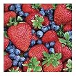 The Berry Best Jigsaw Puzzle 500pc