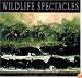 Wildlife Spectacles