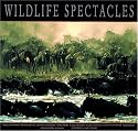 Wildlife Spectacles