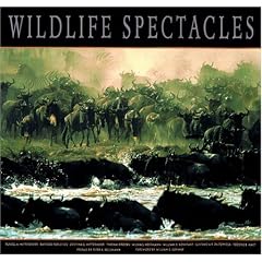 Wildlife Spectacles