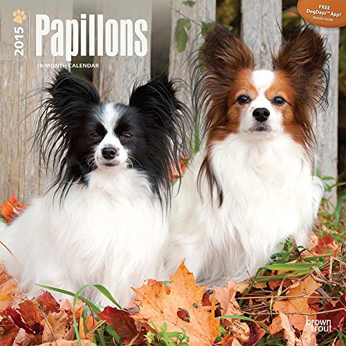 Papillons 2015 Wall Calendar