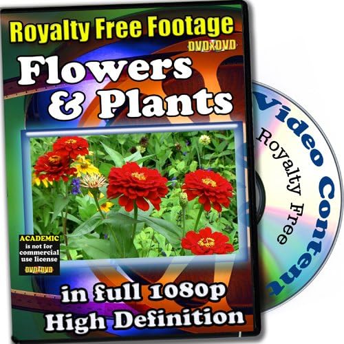 Flowers And Plants - Royalty Free Video Footage High Definition Collection, Academic License