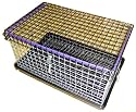 12x19 Transport Carrier Cage