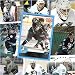 Anahiem Mighty Ducks 1990-2000 Card Set