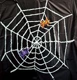 ����å��� ���ѥ����� �ͥå� �ۥ磻�� Glitter Spider Net - White / 802489