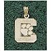 LogoArt Clemson Tigers 10K Gold Team Logo Pendant