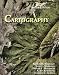 Elements of Cartography