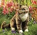   - Folkmanis Brown Tabby Cat Puppet
