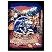 Denver Broncos Woven Tapestry Throw